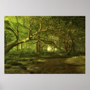 Poster Imaginaire forestier