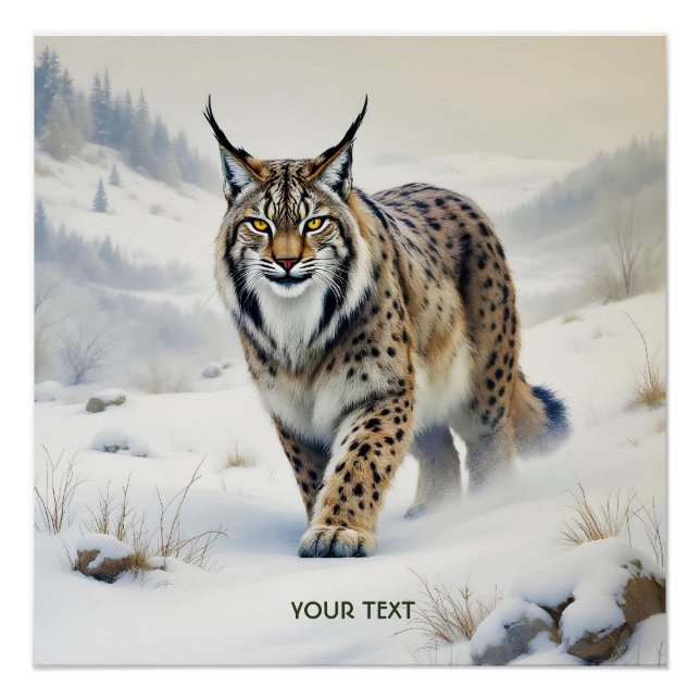 Poster Imaginaire Lynx doux neige hivernale (Devant)