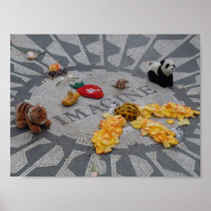 Poster Imaginez les champs de fraises Central Park photo