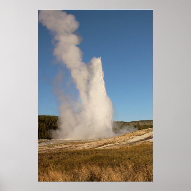 POSTER IMG_1081_1 (Devant)