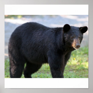 Poster IMG_5587_édité