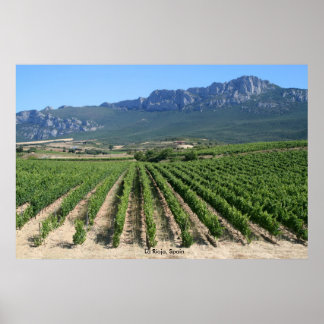 Poster IMG_6159, La Rioja, Espagne