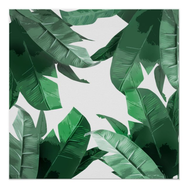 Poster Impression d'art feuille banane (Devant)