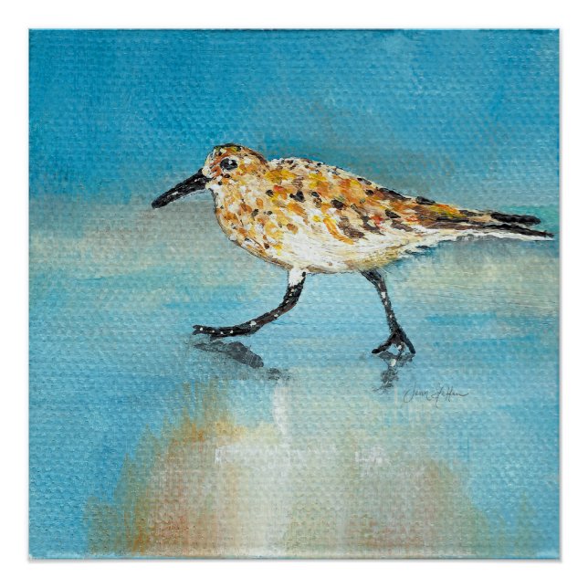 Poster Impression de peinture Sandpiper (Devant)