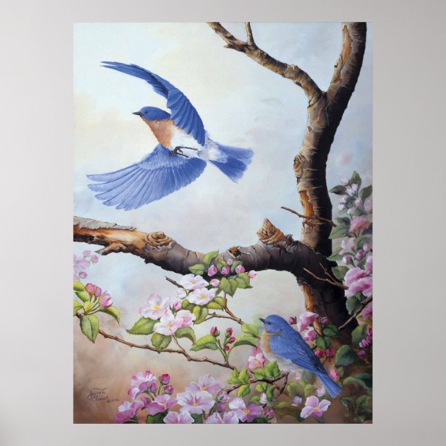 Poster Imprimantes en toile UV "Bluebirds" (Devant)