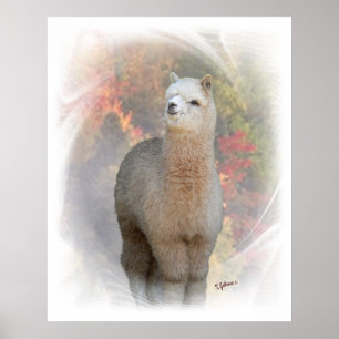 Poster Imprimé Alpaca automne