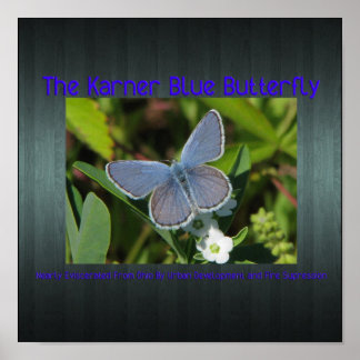 Poster imprimé bleu karner