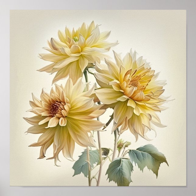Poster imprimé Dahlias Jaune (Devant)