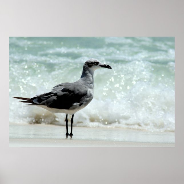 Poster imprimé de l'affiche de gode de mer (Devant)