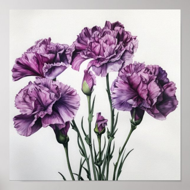 Poster imprimé d'oeillets violets (Devant)