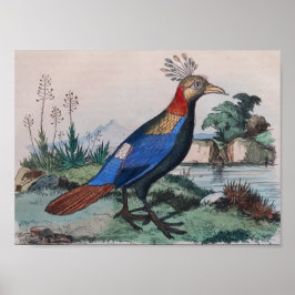 Poster imprimé d'oiseau exotique