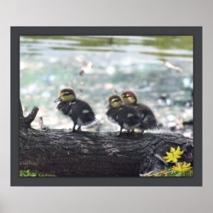 Poster Imprimé noir -24x20 -autres tailles disponibles
