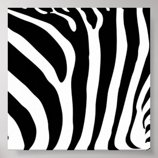 Poster imprimé Zebra