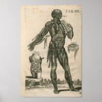 Imprimer anatomie musculaire vintage 1741
