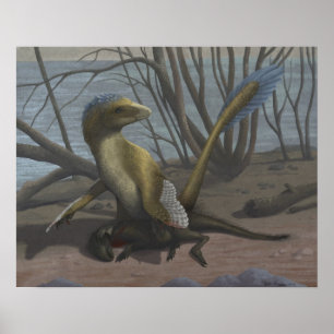 Poster Imprimer Aptian Riverbank