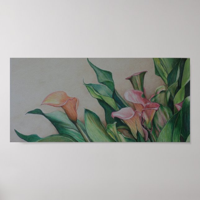 Poster Imprimer Art Calla Lilies (Devant)