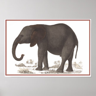 POSTER IMPRIMER ÉLÉPHANT