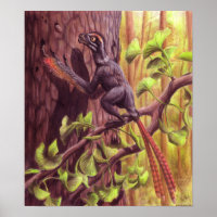 Imprimer Epidexipteryx