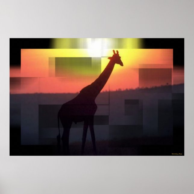 Poster Imprimer Giraffes (Devant)