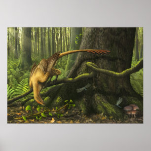 Poster Imprimer Jeholornis