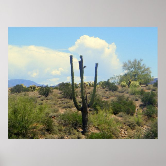 Poster Imprimer la beauté de la surface (Devant)