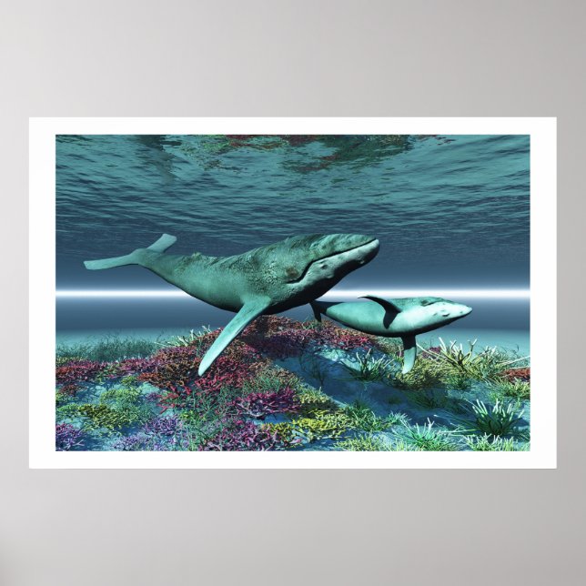 POSTER IMPRIMER LA CHANSON DE BALEINE (Devant)