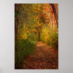 Poster Imprimer la piste d'automne