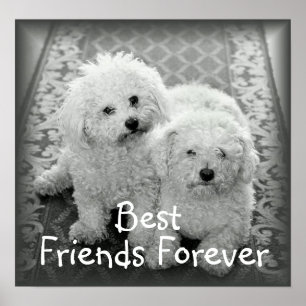Poster Imprimer l'affiche Best Friends Forever