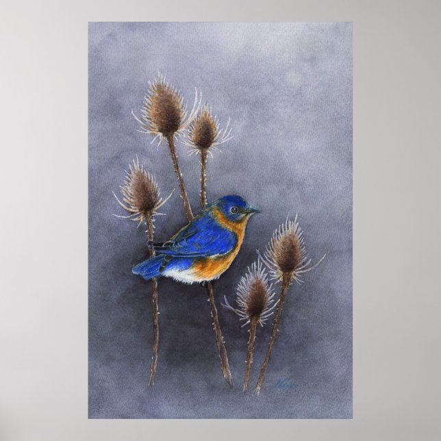 Poster Imprimer l'affiche Bluebird (Devant)