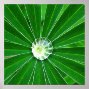 Poster Imprimer l'affiche Green Energy