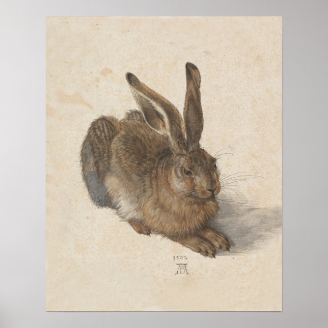 Poster Imprimer lapin lapin vintage (Devant)