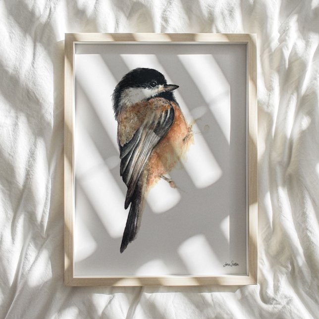 Poster Imprimer l'aquarelle de poulet (Chickadee Watercolor Art Print from Jenn's Emporium. )
