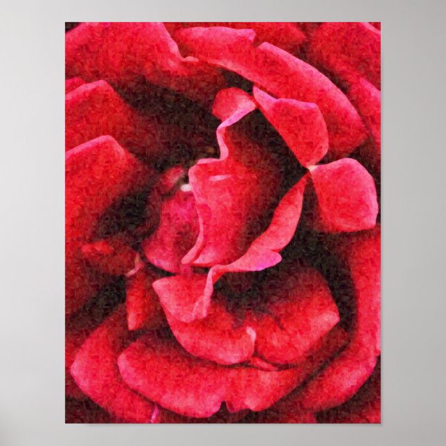 Poster Imprimer l'art de la rose rouge profonde (Devant)