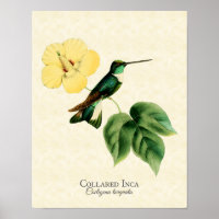 Imprimer l'art des colibris inca