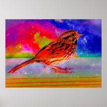 Imprimer l'art du rêve d'oiseaux cosmiques"