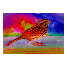 Imprimer l'art du rêve d'oiseaux cosmiques"