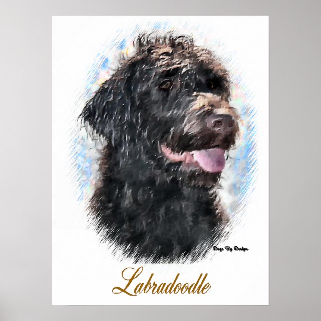 Poster Imprimer l'art Labradoodle (Devant)