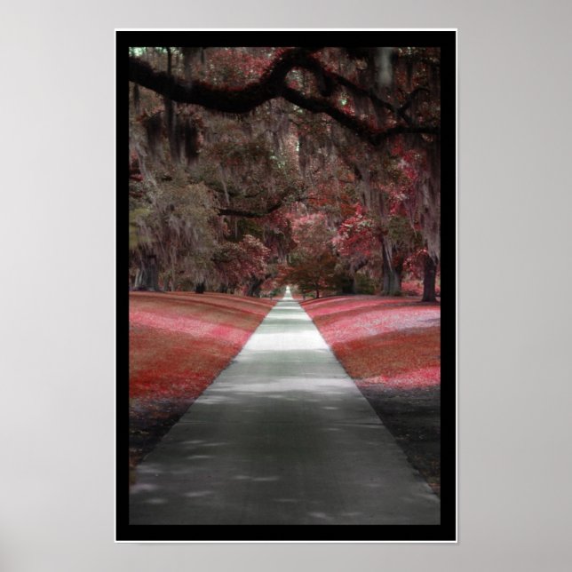 Poster Imprimer le chemin (Devant)