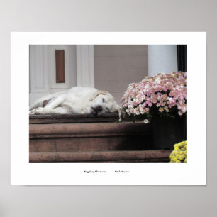 Poster Imprimer le jour du chien après-midi