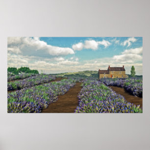Poster Imprimer les champs Lavender