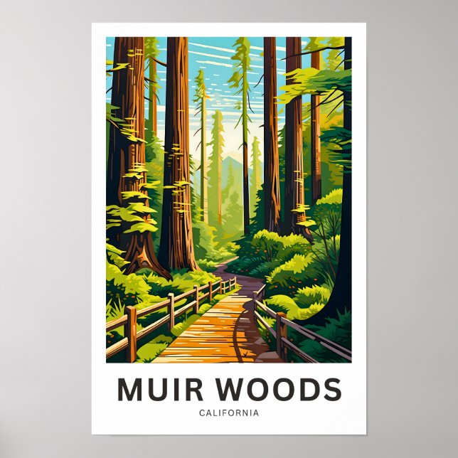 Poster Imprimer Muir Woods California Travel (Devant)