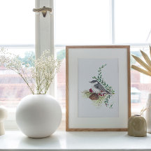 Imprimer Nuthatch Bird