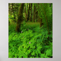 Imprimer, Papier d'affiche de valeur (Matte)