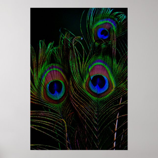 Poster Imprimer, Papier d'affiche de valeur (Matte) (Devant)