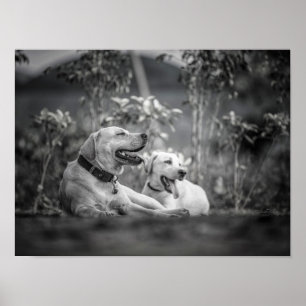 Poster Imprimer, Papier d'affiche de valeur (Matte)