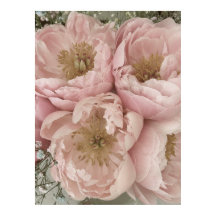 IMPRIMER | Peonies I - 24po x 32po