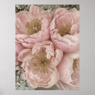 Poster IMPRIMER   Peonies I - 24po x 32po