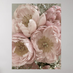 Poster IMPRIMER Peonies II - 24po x 32po