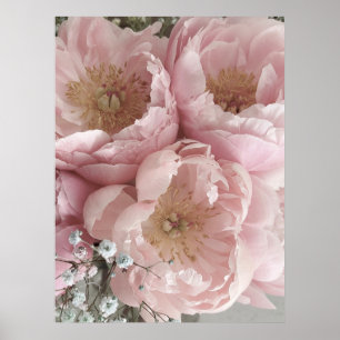Poster IMPRIMER   Peonies III - 24po x 32po