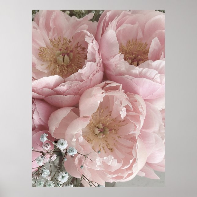 Poster IMPRIMER | Peonies III - 24po x 32po (Devant)